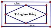 Sơ đồ mảnh sân hình chữ nhật với lối đi xung quanh và phần trồng hoa Hồng hình thoi ở giữa