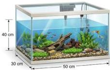 bể cá bằng thủy tinh hình hộp chữ nhật có kích thước 30 cm, 50 cm và mực nước cao 40 cm