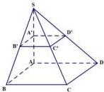 Hình chóp S.ABCD với các điểm A', B', C', D' lần lượt là trung điểm của SA, SB, SC, SD
