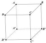Hình lập phương $ABCD.A'B'C'D'$