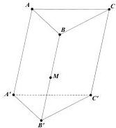 Hình lăng trụ $ABC.A'B'C'$ với $M$ là trung điểm của $BB'$