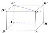 Hình lập phương ABCD.A'B'C'D'