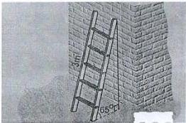 Chiếc thang dài 3m tựa vào tường tạo với mặt đất góc 65°