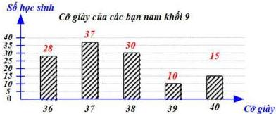 Biểu đồ cỡ giày của các bạn nam khối 9