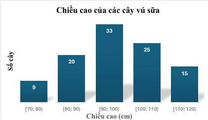 Biểu đồ tần số chiều cao của các cây vú sữa