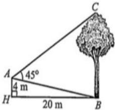 Hình minh họa người quan sát cây từ nóc nhà với chiều cao AH = 4m, khoảng cách HB = 20m và góc BAC = 45°