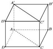 hình lập phương ABCD.A'B'C'D'