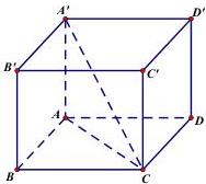 Hình hộp chữ nhật ABCD.A'B'C'D'