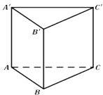 Hình lăng trụ tam giác đều ABC.A'B'C'