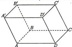 Hình lăng trụ tứ giác $ABCD.A'B'C'D'$