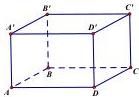 Hình hộp chữ nhật $ABCD.A'B'C'D'$