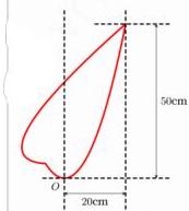 hình vẽ chiếc lá giới hạn bởi hai parabol với kích thước 20cm và 50cm