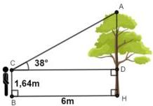 Sơ đồ ước lượng chiều cao cây AH với các điểm B, C, D, H và góc nhìn ACD bằng 38°