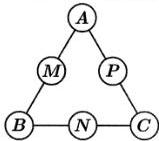 Sơ đồ tam giác với các vị trí A, B, C, M, N, P