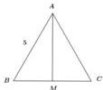 Tam giác đều ABC có M là trung điểm của BC, AB = 5