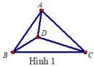 Hình 1