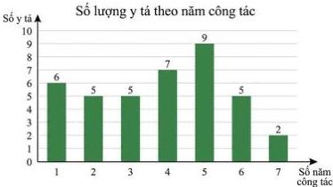 Biểu đồ Số lượng y tá theo năm công tác