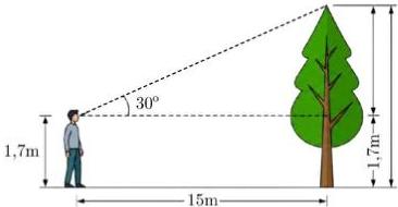 Hình minh họa người quan sát cây với góc nhìn $30^{\circ}$, khoảng cách $15$m và chiều cao mắt $1,7$m