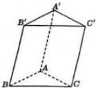 Hình lăng trụ ABC.A'B'C'