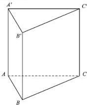 Hình lăng trụ tam giác đều $ABC.A'B'C'$