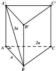 hình lăng trụ đứng ABC.A'B'C'