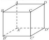 hình lập phương ABCD.A'B'C'D'
