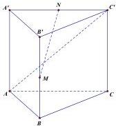 Hình vẽ lăng trụ đứng ABC.A'B'C' với M là trung điểm BB' và N là trung điểm A'C'