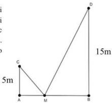 Sơ đồ hai cọc AC = 5m, BD = 15m và điểm M trên AB