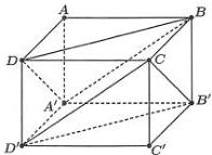 Hình hộp ABCD.A'B'C'D' với các trọng tâm G1, G2 của tam giác A'BD và B'D'C