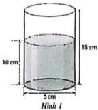 Hình 1
