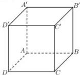 hình lập phương ABCD.A'B'C'D'