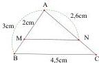 Hình 2: Tam giác ABC có MN // BC với AB = 3cm, AM = 2cm, AN = 2,6cm, BC = 4,5cm
