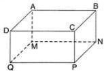 Hình hộp chữ nhật ABCD.MNPQ