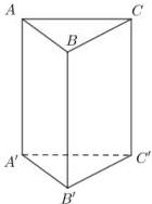 hình lăng trụ đứng ABC.A'B'C'