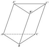 hình lăng trụ tam giác ABC.A'B'C'