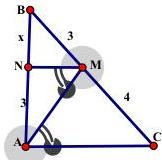 Hình tam giác ABC với điểm N trên AB, điểm M trên BC, BN = x, NA = 3, BM = 3, MC = 4 và NM // AC