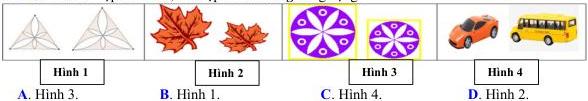 Các cặp hình Hình 1, Hình 2, Hình 3 và Hình 4
