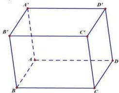 hình hộp ABCD.A'B'C'D'