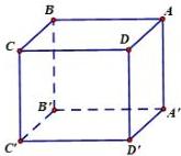 Hình lập phương ABCD.A'B'C'D'