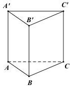 Hình lăng trụ đứng $ABC.A'B'C'$