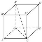 Hình hộp chữ nhật ABCD.A'B'C'D' với đường chéo A'C