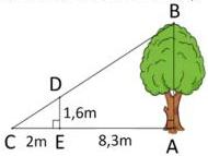 Hình vẽ bên minh họa cây AB với DE vuông góc CA tại E, DE = 1,6m, CE = 2m, EA = 8,3m