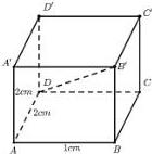 Hình hộp chữ nhật ABCD.A'B'C'D' với các kích thước AB = 1cm, AD = 2cm, AA' = 2cm và đường chéo DB'