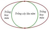 Hình vẽ elip chứa đường tròn bên trong tiếp xúc tại hai điểm trên và dưới, vùng trong đường tròn ghi Trồng cây lâu năm, hai vùng ngoài đường tròn trong elip ghi Trồng hoa màu