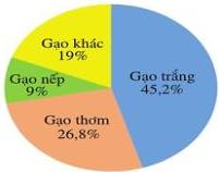 Biểu đồ tròn tỉ lệ các loại gạo: Gạo trắng 45,2%, Gạo thơm 26,8%, Gạo nếp 9%, Gạo khác 19%