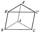 Hình lăng trụ ABC.A'B'C'