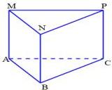 Hình lăng trụ đứng ABC.MNP