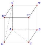 Hình lập phương ABCD.A'B'C'D'