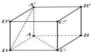 Hình lập phương ABCD.A'B'C'D'
