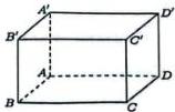 Hình lập phương $ABCD.A'B'C'D'$